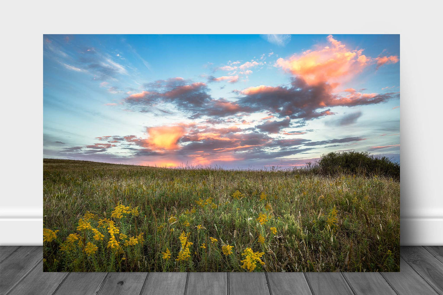 Great Plains metal print on aluminum of clouds illuminated by evening sunlight over the Tallgrass Prairie at sunset in Osage County, Oklahoma by Sean Ramsey of Southern Plains Photography.