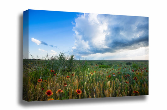 Great Plains canvas wall art of a thunderstorm advancing over wildflowers on a spring day on the Texas prairie by Sean Ramsey of Southern Plains Photography.