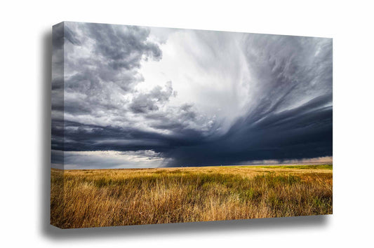 Thunderstorm gallery wrapped canvas wall art of a dramatic stormy sky over golden prairie grass on a spring day in the Oklahoma Panhandle by Sean Ramsey of Southern Plains Photography.