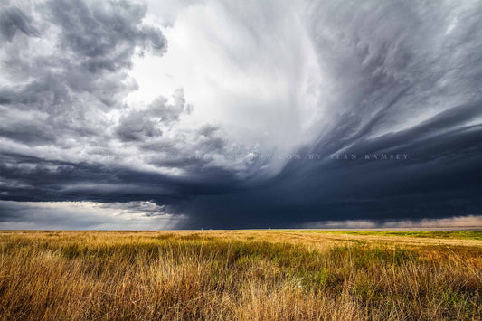 Thunderstorm photography print of a dramatic stormy sky over golden prairie grass on a spring day in the Oklahoma Panhandle by Sean Ramsey of Southern Plains Photography.