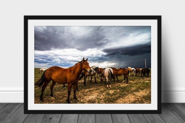 Framed equine print with optional mat of a horse proudly watching over the herd as a thunderstorm approaches on a stormy spring day in Oklahoma by Sean Ramsey of Southern Plains Photography.