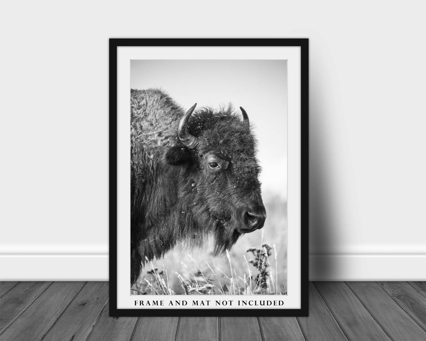 Western Photography Print - Vertical Picture of Buffalo on Tallgrass Prairie in Oklahoma in Black and White - Bison Decor Wall Art Photo