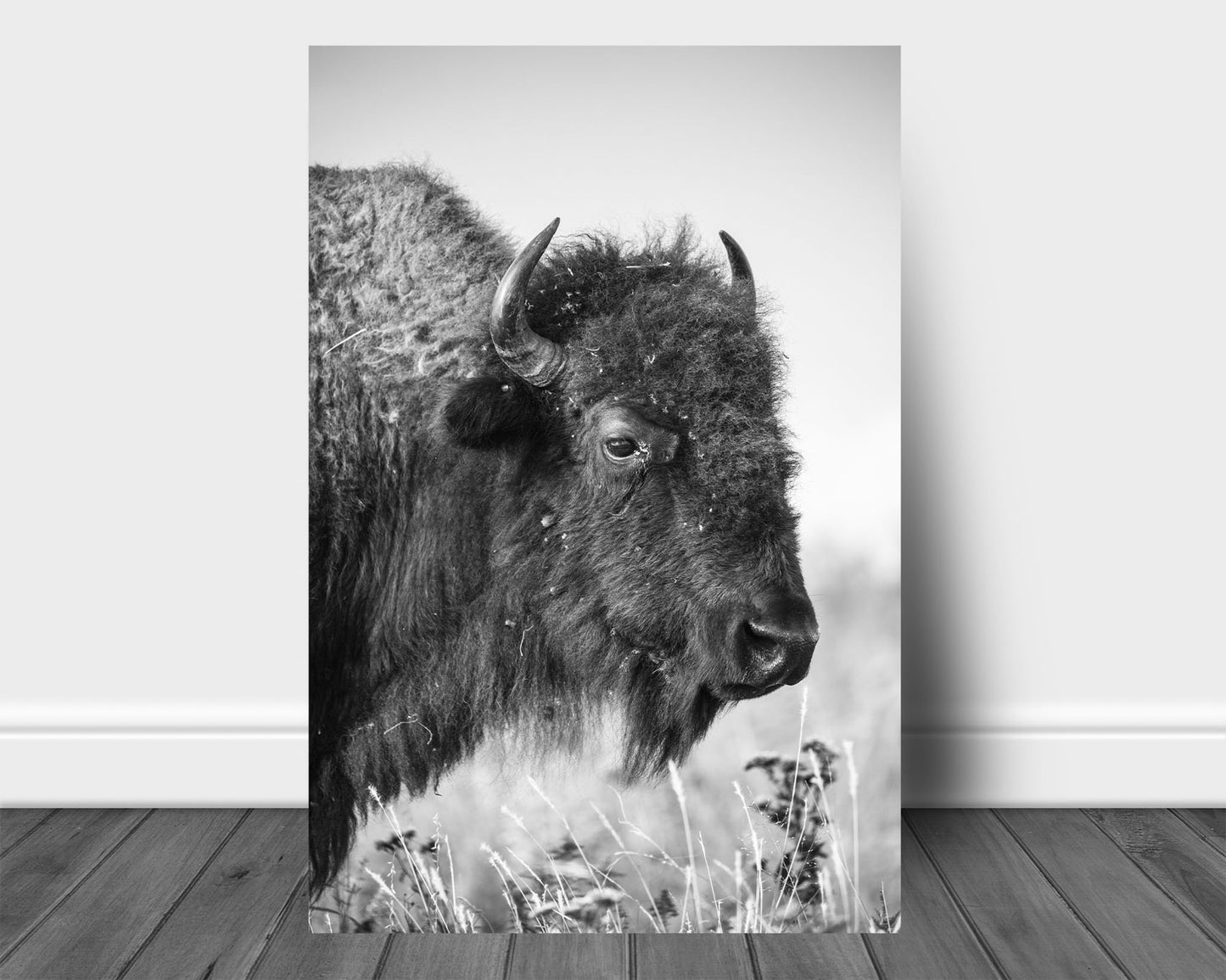Vertical western aluminum metal print wall art of a buffalo on the Tallgrass Prairie of Oklahoma in black and white by Sean Ramsey of Southern Plains Photography.