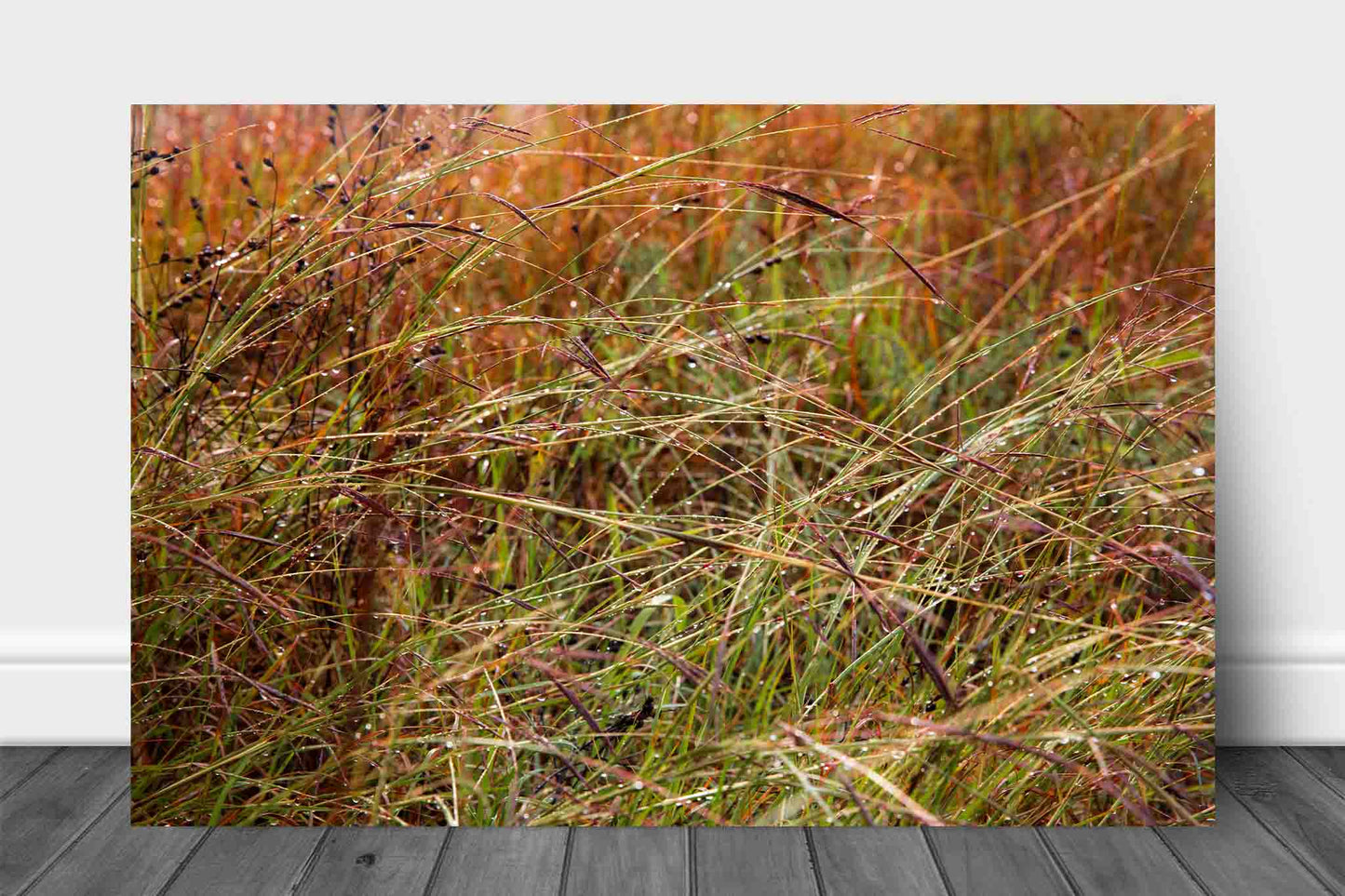 Botanical aluminum metal print wall art of raindrops on prairie grass after a thunderstorm passes through on a stormy day in Oklahoma by Sean Ramsey of Southern Plains Photography.