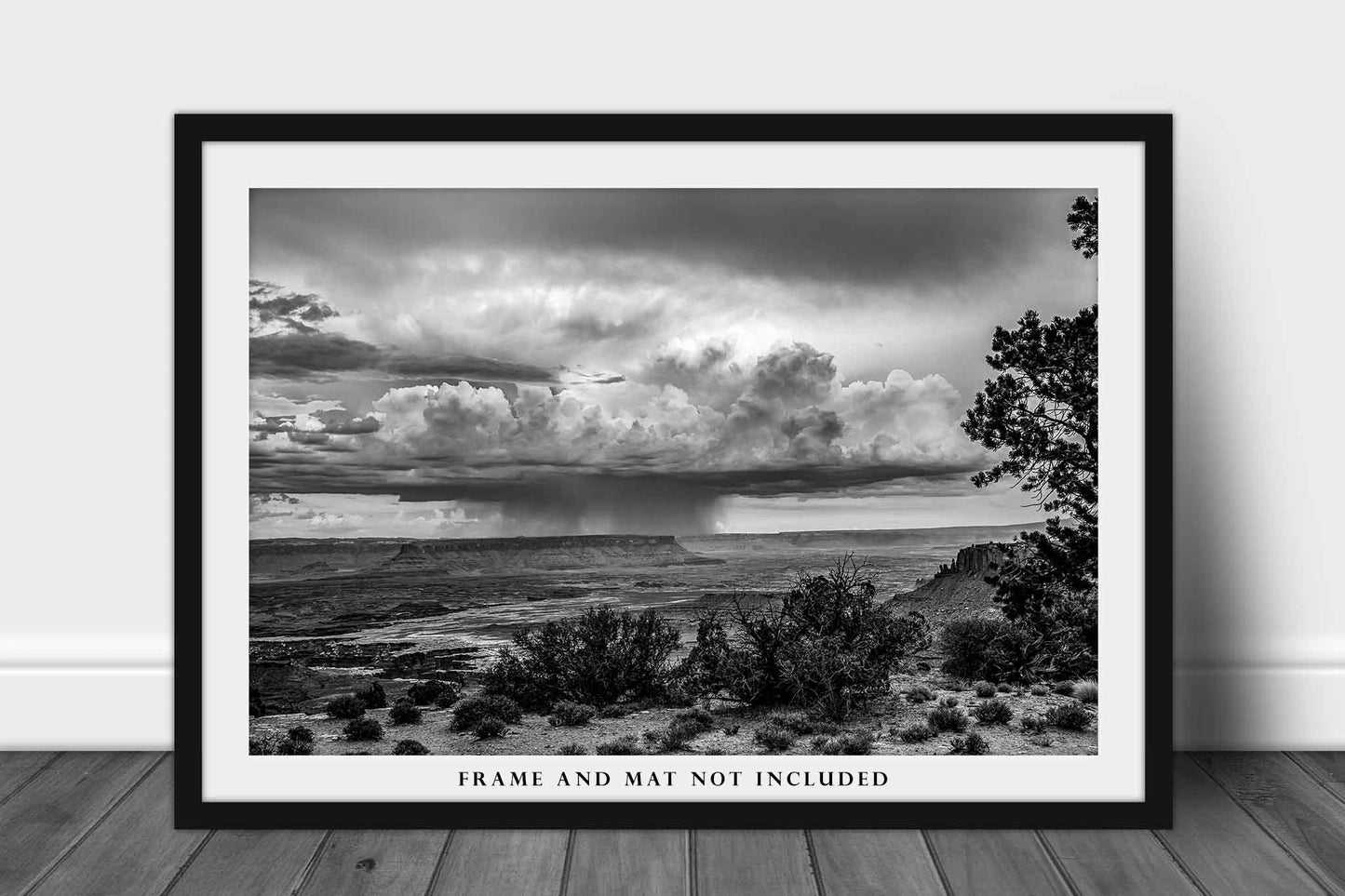Black and White Picture - Fine Art Landscape Photography Print of Storm Passing Over Canyonlands in Utah Southwest Wall Art Photo Decor