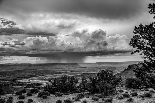 Black and white southwest landscape photography print of a monsoon thunderstorm brining rain to Canyonlands National Park, Utah by Sean Ramsey of Southern Plains Photography.