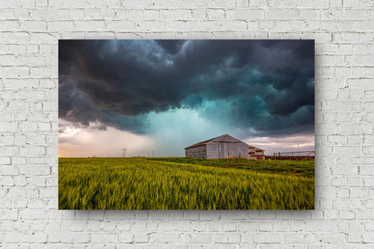 Storm metal print on aluminum of a thunderstorm passing behind an old tin covered barn in a wheat field on a stormy spring day in Oklahoma by Sean Ramsey of Southern Plains Photography.