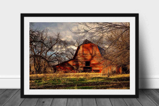 Framed and matted country photography print of a rustic red barn in the shadows of leafless trees on an autumn evening in Oklahoma by Sean Ramsey of Southern Plains Photography.