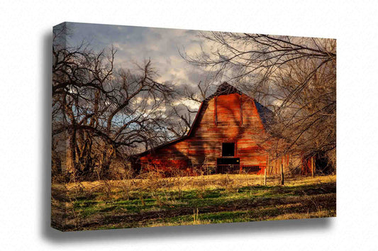Country canvas wall art of a rustic red barn in the shadows of leafless trees on an autumn evening in Oklahoma by Sean Ramsey of Southern Plains Photography.