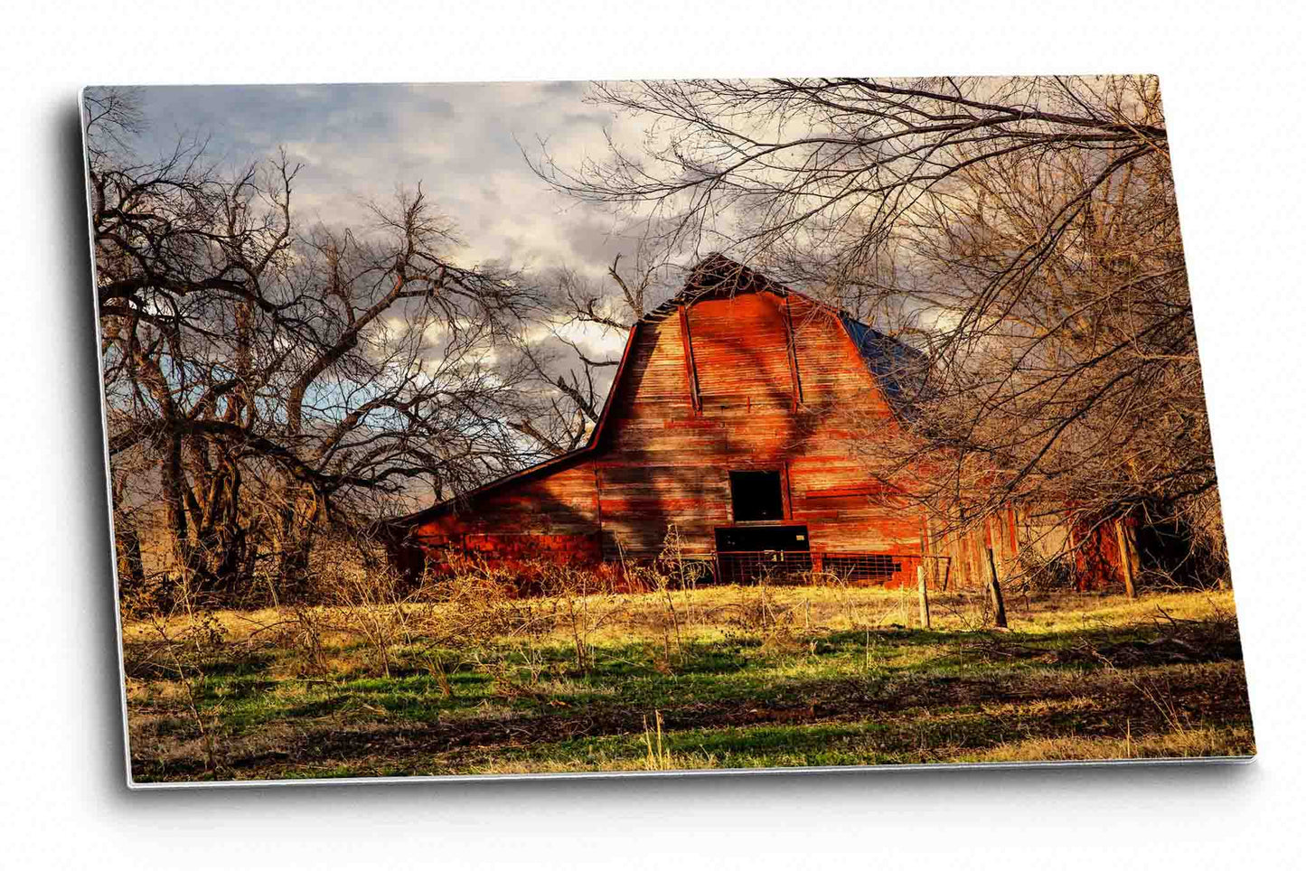 Country wall art metal print of a rustic red barn sitting in the shadows of leafless trees on an autumn evening in Oklahoma by Sean Ramsey of Southern Plains Photography.