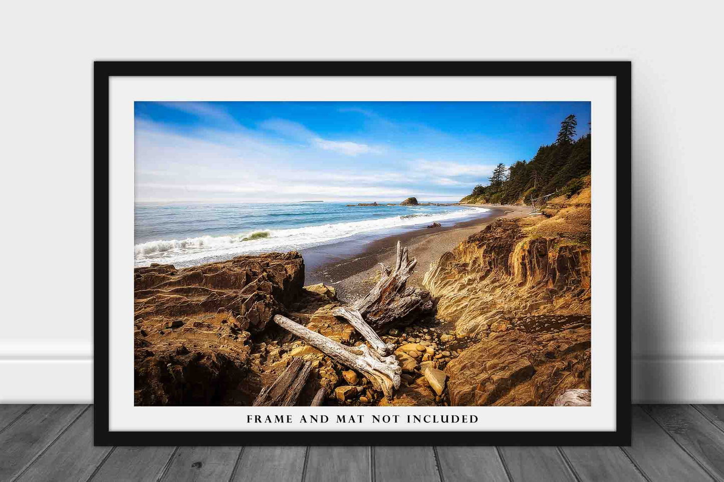 Pacific Northwest Art Print - Fine Art Photography Print of Log Remnants on Beach Along Coast in Washington State Coastal Wall Art Beach Art