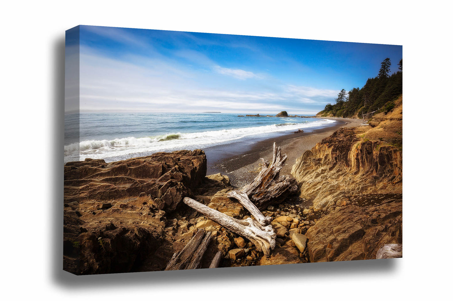 Pacific Northwest coastal gallery wrapped canvas wall art of driftwood logs resting on the shore along a beach in Washington state by Sean Ramsey of Southern Plains Photography.