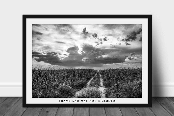 Black and White Photography Print - Picture of Road Leading Through Corn Field and Evening Sky in Central Nebraska Scenic Midwest Farm Decor
