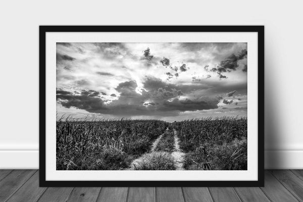 Framed black and white farm print with optional mat of wheel ruts in corn field leading to big sky on spring day in Nebraska by Sean Ramsey of Southern Plains Photography.