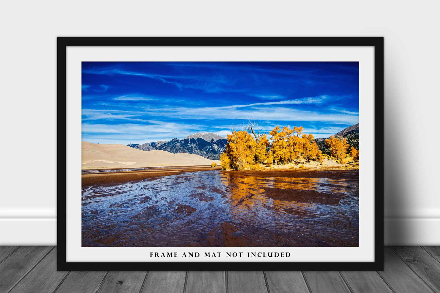 Rocky Mountain Photography Print (Not Framed) Picture of Medano Creek and Trees with Fall Color on Autumn Day in Great Sand Dunes National Park Colorado Western Wall Art Nature Decor