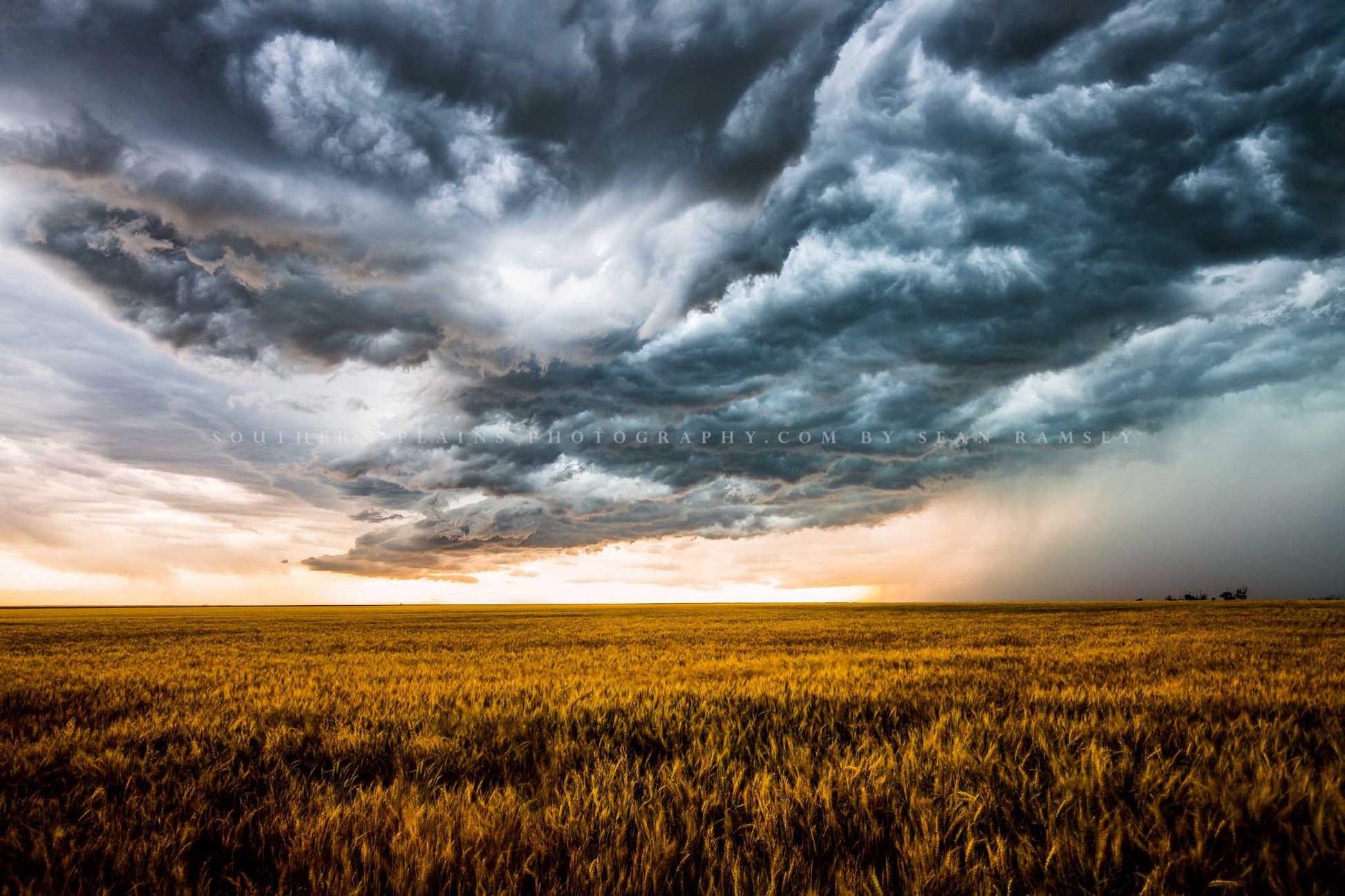 Western photography print of storm clouds churning over an amber wheat field on a stormy spring day on the plains of Colorado by Sean Ramsey of Southern Plains Photography.
