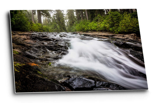 Pacific Northwest metal print on aluminum of the Paradise River rushing toward Narada Falls on a foggy morning in Mount Rainier National Park, Washington by Sean Ramsey of Southern Plains Photography.