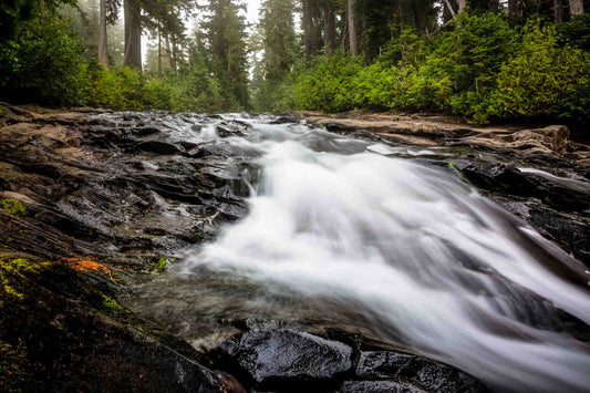 Pacific Northwest photography print of Paradise River rapids rushing toward Narada Falls on a foggy morning in Mount Rainier National Park, Washington by Sean Ramsey of Southern Plains Photography.