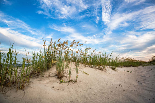 Coastal photography print of sand dunes and sea oats under a big blue sky along a beach on Hilton Head Island, South Carolina by Sean Ramsey of Southern Plains Photography.