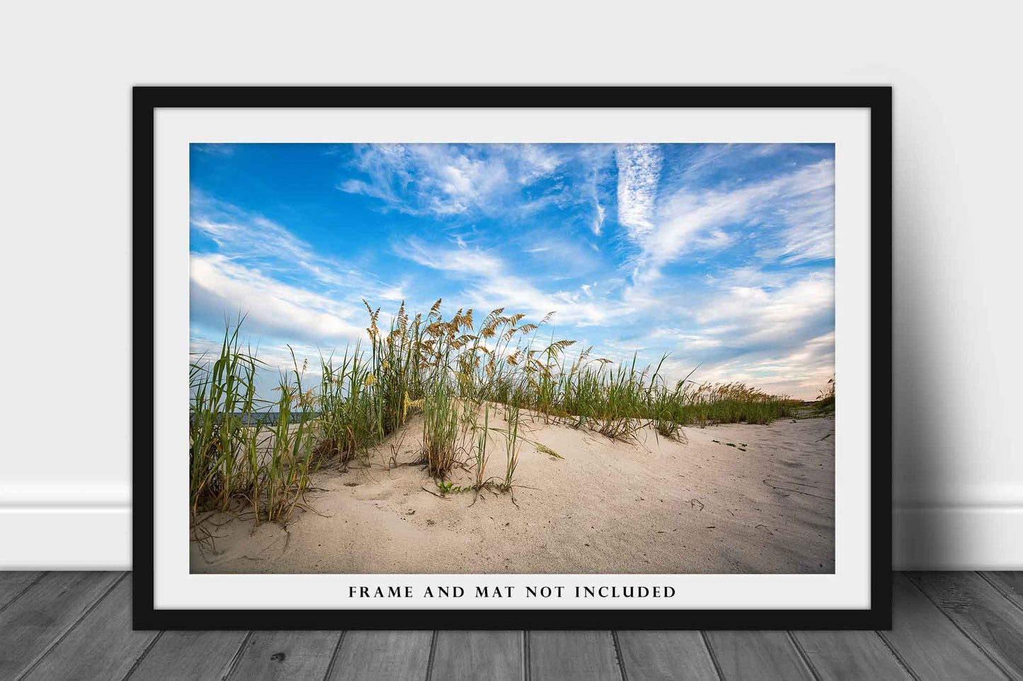 Beach Photography Print - Wall Art Photo of Sand Dunes and Sea Oats Along Coast in South Carolina Atlantic Coastal Picture Neutral Decor