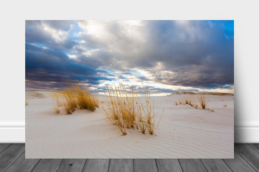 Desert southwest aluminum metal print wall art of golden grass embedded in sand under a dreamy sky at White Sands National Park, New Mexico by Sean Ramsey of Southern Plains Photography.