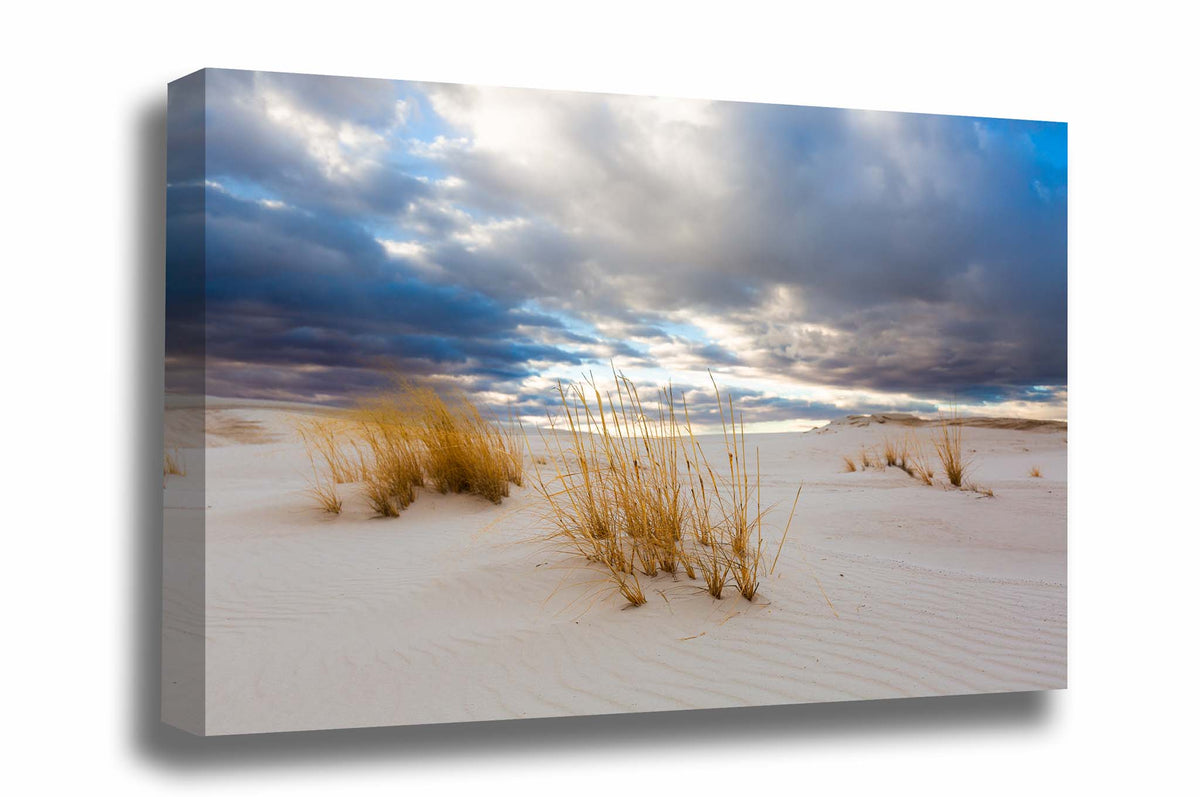 Desert southwest gallery wrap canvas wall art of golden grass embedded in sand under a dreamy sky at White Sands National Park, New Mexico by Sean Ramsey of Southern Plains Photography.