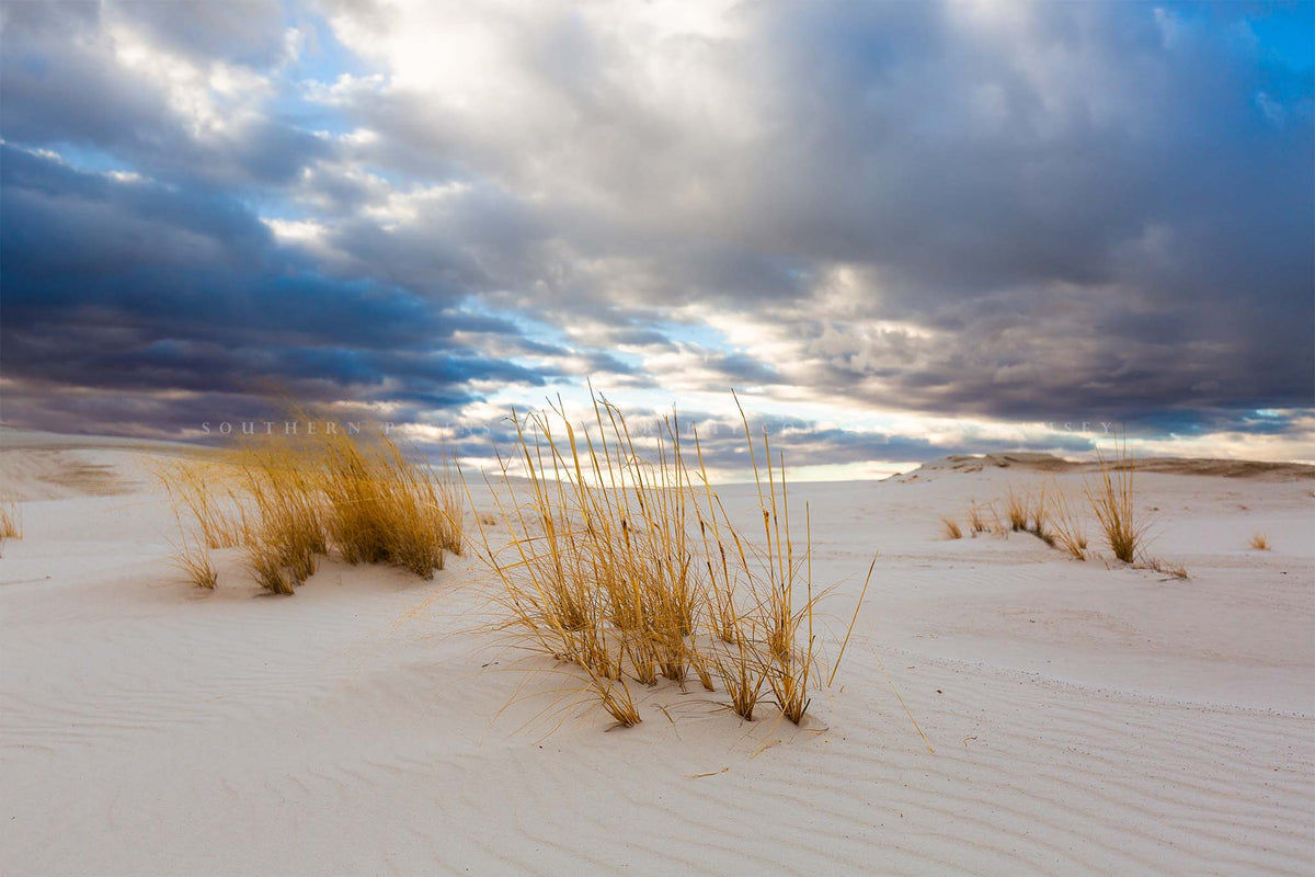 Desert southwest photography print of golden grass embedded in sand under a dreamy sky at White Sands National Park, New Mexico by Sean Ramsey of Southern Plains Photography.