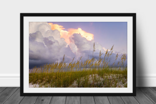 Framed and matted Gulf Coast print of storm clouds over sea oats at sunrise at Orange Beach, Alabama by Sean Ramsey of Southern Plains Photography.