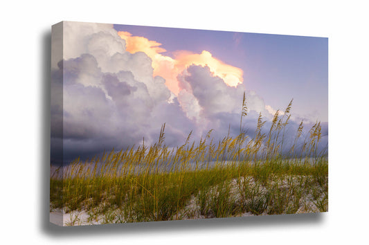 Gulf Coast canvas wall art of storm clouds over sea oats at sunrise at Orange Beach, Alabama by Sean Ramsey of Southern Plains Photography.