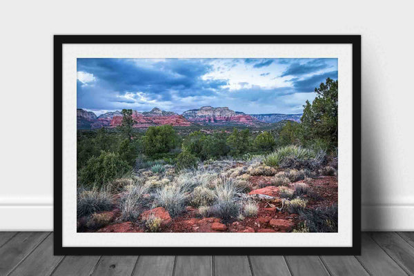 Framed southwestern landscape print with optional mat of desert plant life and red rocks on a chilly spring evening in Sedona, Arizona by Sean Ramsey of Southern Plains Photography.