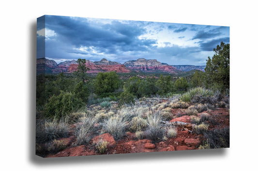 Southwestern canvas wall art of red rocks and desert landscape on an early spring evening near Sedona, Arizona by Sean Ramsey of Southern Plains Photography.