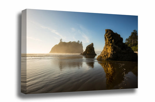 Coastal gallery wrapped canvas wall art of sea stacks in evening sunlight on Ruby Beach in Washington state by Sean Ramsey of Southern Plains Photography.