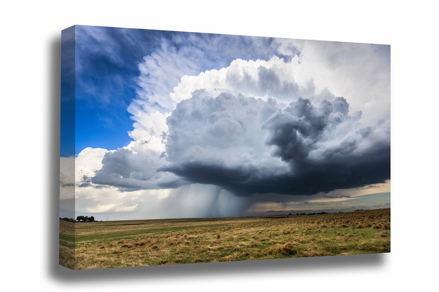 Thunderstorm gallery wrapped canvas wall art of a large storm cloud dropping rain over open plains on a stormy spring day in Oklahoma by Sean Ramsey of Southern Plains Photography.