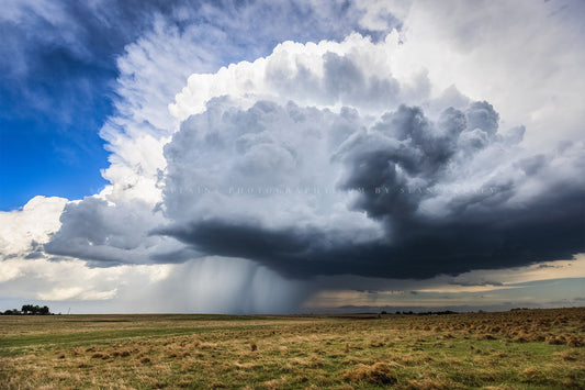 Thunderstorm photography print of a large storm cloud dropping rain over open plains on a stormy spring day in Oklahoma by Sean Ramsey of Southern Plains Photography.