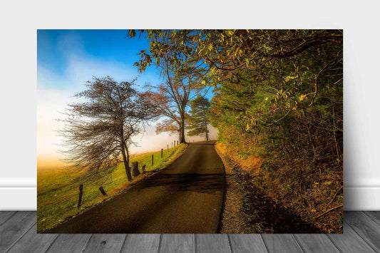 Great Smoky Mountains metal print on aluminum of a road passing through a foggy autumn landscape along Cades Cove Loop in Tennessee by Sean Ramsey of Southern Plains Photography.
