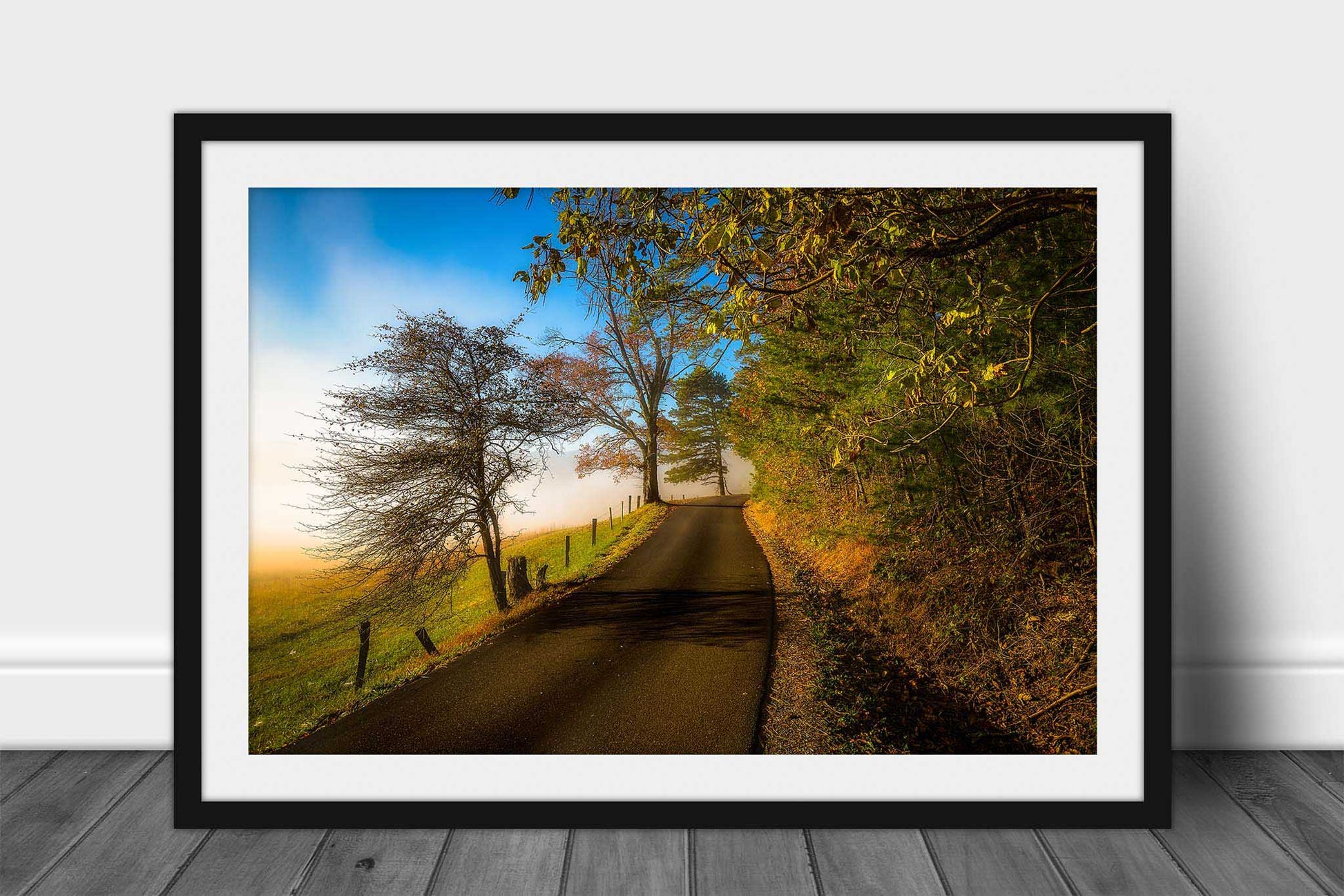 Framed and matted Appalachian print of the road along Cades Cove Loop passing by trees and fog on a foggy autumn morning in the Great Smoky Mountains of Tennessee by Sean Ramsey of Southern Plains Photography.