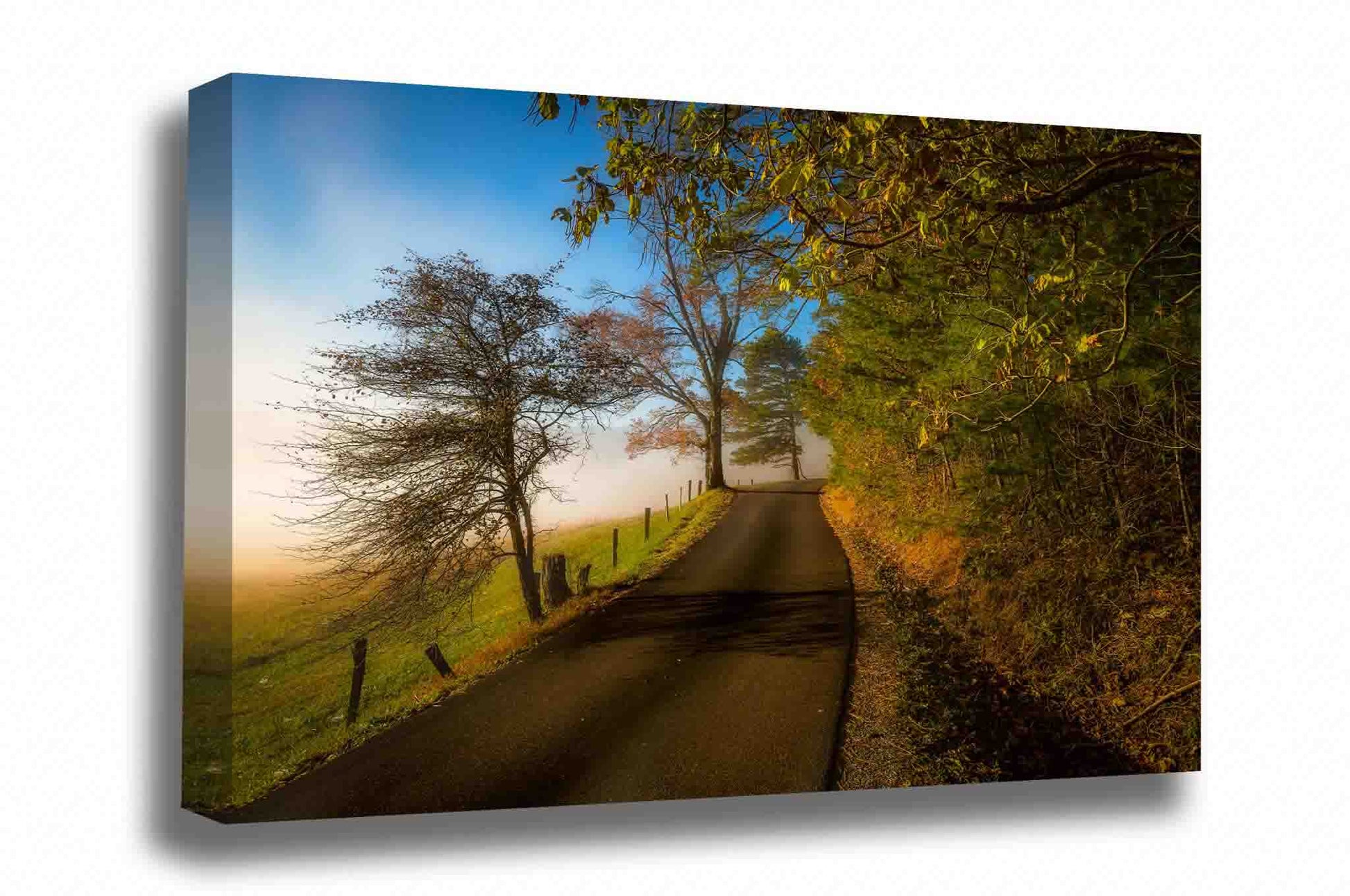 Landscape canvas wall art of a road lines with trees on a foggy autumn morning along Cades Cove Loop in the Great Smoky Mountains of Tennessee by Sean Ramsey of Southern Plains Photography.
