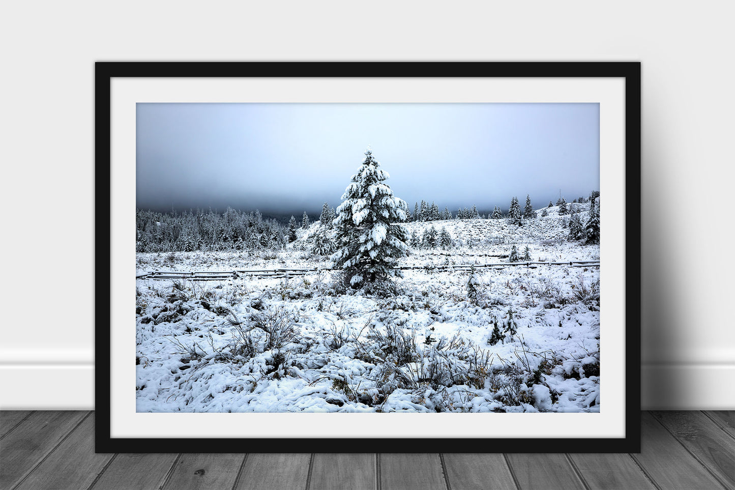 Rocky Mountains framed print of a pine tree covered in snow in a beautiful wintery scene on an autumn morning in Wyoming by Sean Ramsey of Southern Plains Photography.