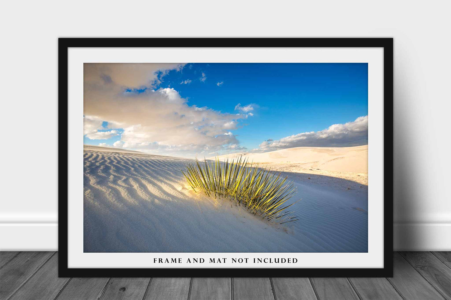 Desert Photography Print | Yucca Plant Picture | White Sands National Park Wall Art | New Mexico Landscape Photo | Southwest Decor | Unframed