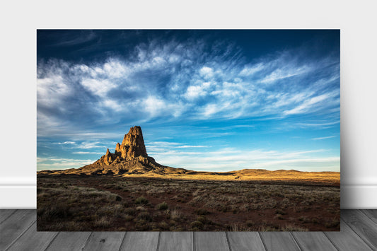 Western landscape aluminum metal print wall art of Agathla Peak drenched in evening sunlight under big blue sky full of wispy cirrus clouds by Sean Ramsey of Southern Plains Photography.