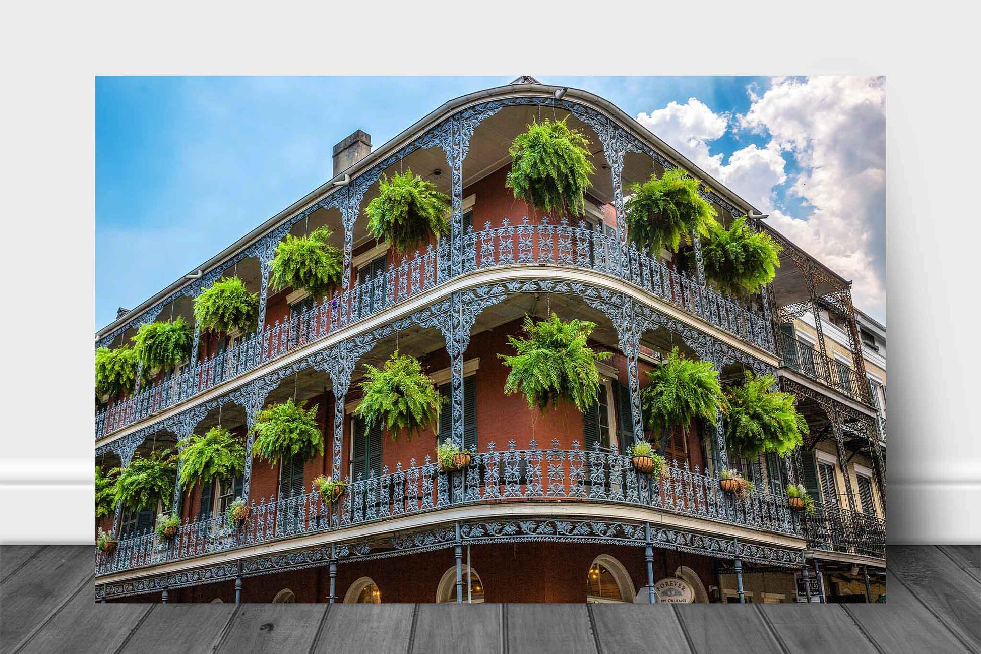 hanging plants new orleans French Quarter Metal Print