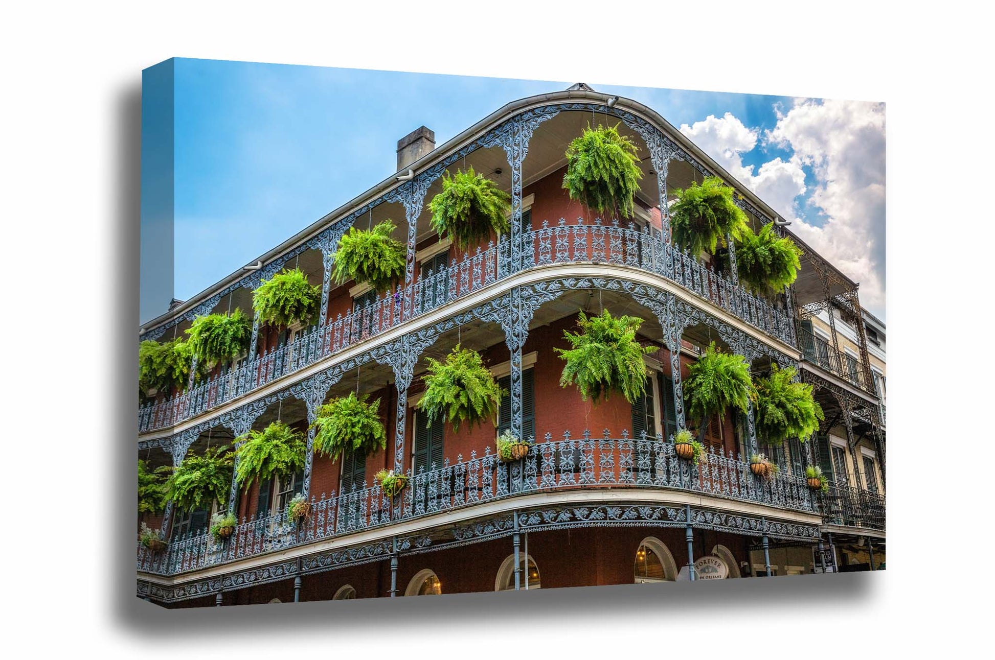 French Quarter canvas wall art of a corner building with hanging ferns in New Orleans, Louisiana by Sean Ramsey of Southern Plains Photography.