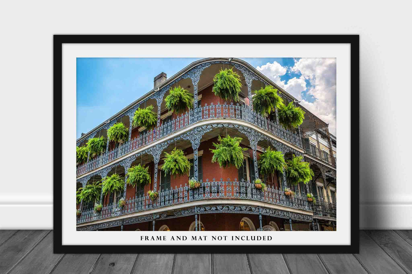 New Orleans Photography Print - Wall Art Picture of Hanging Ferns On Corner Building in French Quarter Southern Louisiana Travel Decor