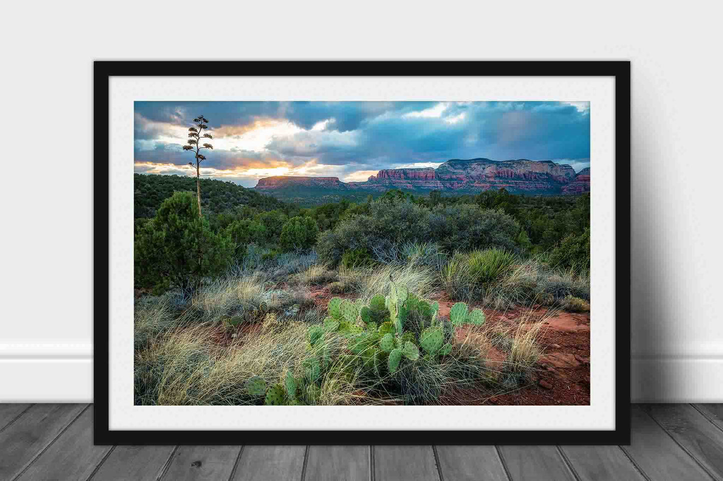 Framed and matted print of cactus and red rocks at sunset on a spring evening near Sedona, Arizona by Sean Ramsey of Southern Plains Photography.
