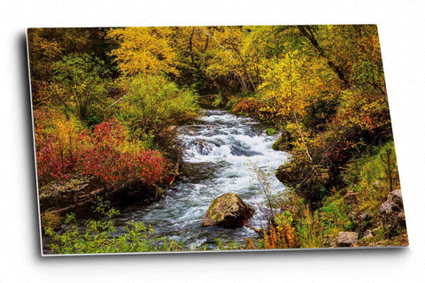 Black Hills aluminum metal print of Spearfish Creek flowing through fall color on an autumn day in Spearfish Canyon, South Dakota by Sean Ramsey of Southern Plains Photography.