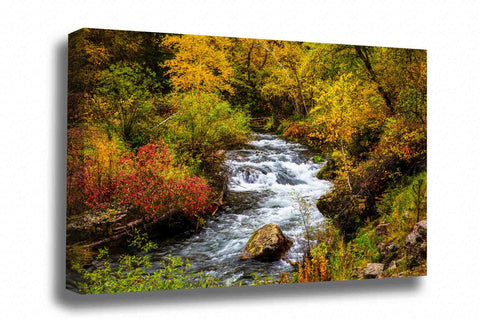 Black Hills canvas wall art of Spearfish Creek with rapids surrounded by fall color on an autumn day at Spearfish Canyon, South Dakota by Sean Ramsey of Southern Plains Photography.