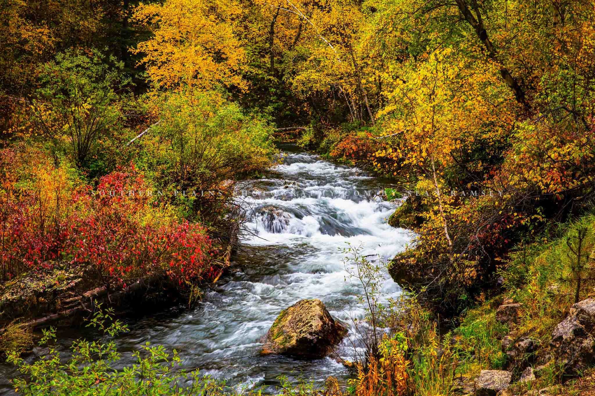 Black Hills photography print of Spearfish Creek flowing through fall color on an autumn day in Spearfish Canyon in South Dakota by Sean Ramsey of Southern Plains Photography.