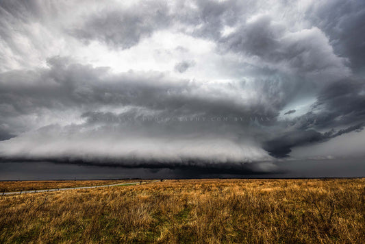 Storm photography print of a supercell thunderstorm over golden prairie grass on a stormy spring day in Texas by Sean Ramsey of Southern Plains Photography.