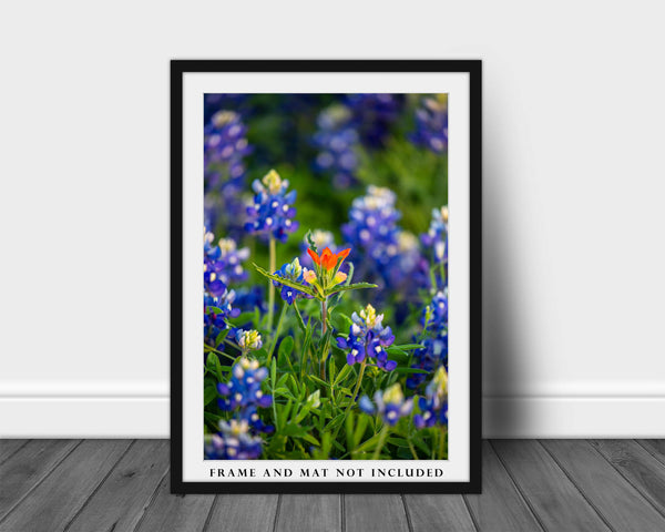Wildflower Photo Print | Indian Paintbrush in Bluebonnets Picture | Texas Wall Art | Vertical Nature Photography | Floral Decor