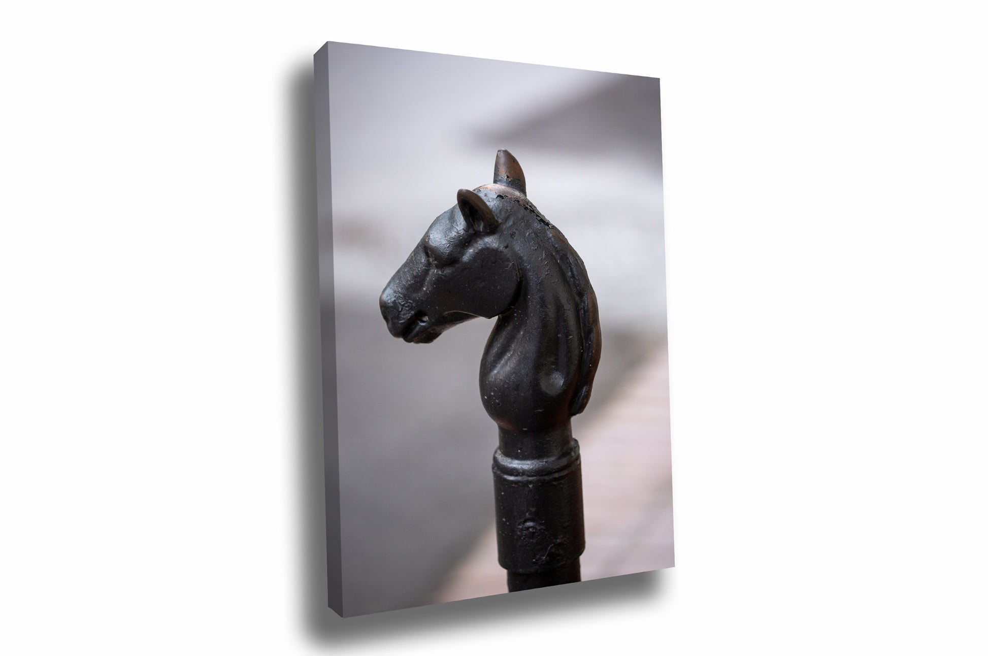 Victorian style vertical gallery wrapped canvas wall art of a horse head hitching post in the French Quarter of New Orleans, Louisiana by Sean Ramsey of Southern Plains Photography.